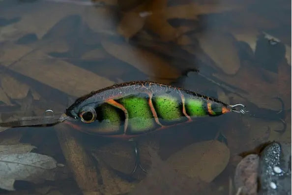 Lure-Painting-Basics-Day-1-Essentials-Guide Urbanlystore