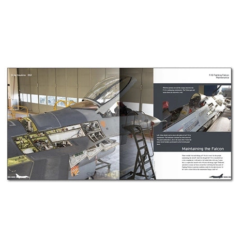 AMMO by MIG Publications - Aircraft in Detail: F-16 Fighting Falcon - Urbanlystore
