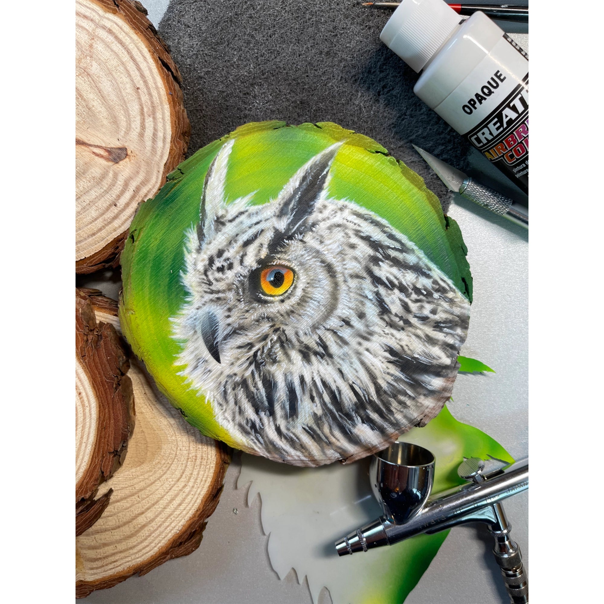 Airbrush Step by Step Stencil Set - Owl