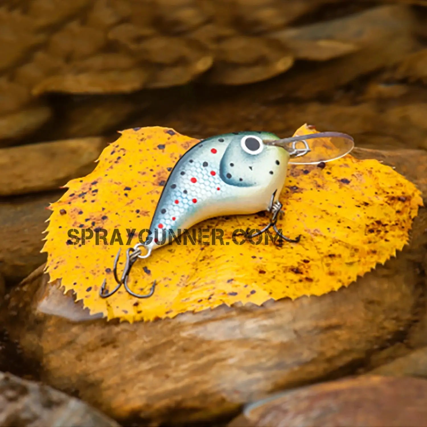 Createx Wicked Blue Craw Set FL-0005 - Urbanlystore