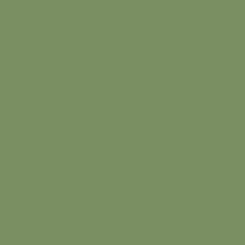 Mission Models Paints Color: MMP-079 RAF Interior Green Mission Models Paints
