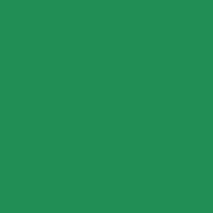 Mission Models Paints Color: MMP-144 Pearl Deep Green - Urbanlystore
